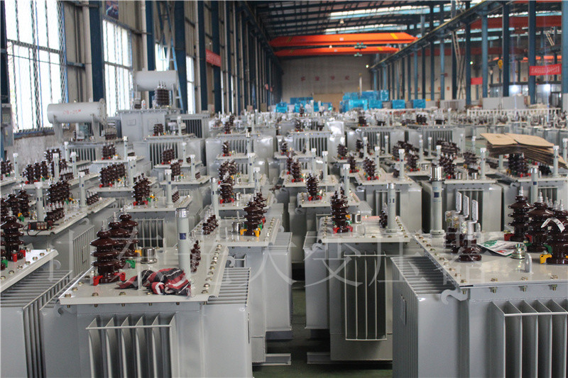 错那S22-800KVA/10KV油浸式变压器